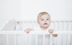 Zazu Zoe De Pinguin Grijs 3 In 1 Muziekdoosje ZA-ZOE-01 -Winkel Voor Babyproducten 30685085644 974ee59458 o