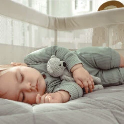 Babygo SideBySide Creme Wieg Aan Bed 4161 28 Babygo SideBySide Creme Wieg Aan Bed 4161 -Winkel Voor Babyproducten babygo sidebyside creme wieg aan bed 4161 2