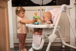 Bo Jungle B-Suction Toy Smart Owl Kinderstoel Speelgoed B910810 -Winkel Voor Babyproducten bo jungle b suction toy smart owl kinderstoel speelgoed b910810 7