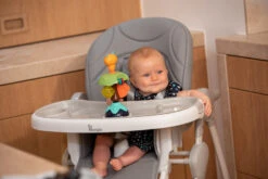 Bo Jungle B-Suction Toy Smart Owl Kinderstoel Speelgoed B910810 -Winkel Voor Babyproducten bo jungle b suction toy smart owl kinderstoel speelgoed b910810 8