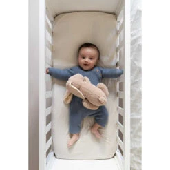 Doomoo Snoogy Biscuit Konijn Magnetronknuffel SY21 -Winkel Voor Babyproducten doomoo snoogy biscuit konijn magnetronknuffel sy21 7