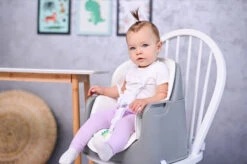 Lorelli Trick Pink Bears 3-in-1 Kinderstoel 1010049-2133 -Winkel Voor Babyproducten lorelli trick grey candy 3 in 1 kinderstoel 1010049 2137.6 1920x1920 2