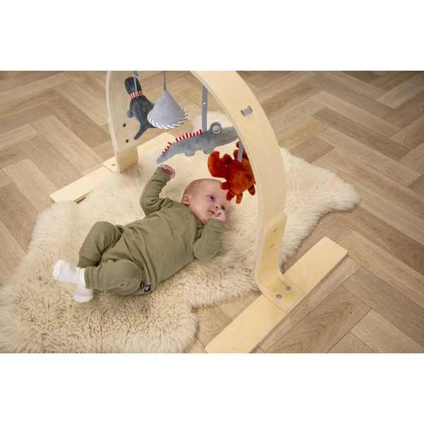 Tryco Houten Babygym TR-303011 8 Tryco Houten Babygym TR-303011 - Afbeelding 6