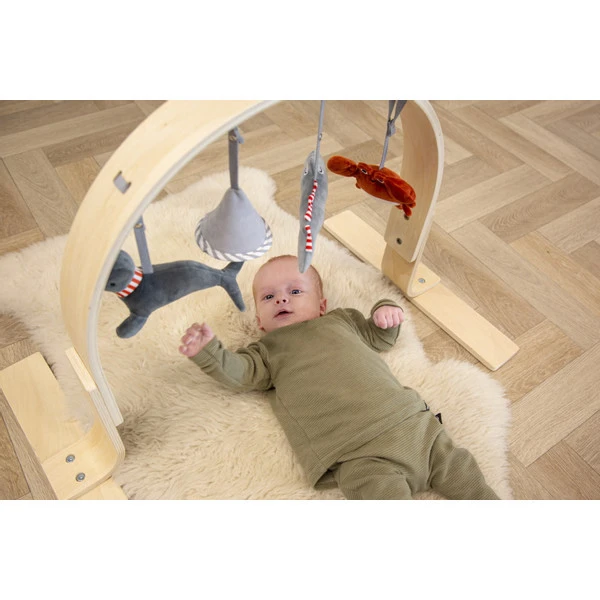 Tryco Houten Babygym TR-303011 7 Tryco Houten Babygym TR-303011 - Afbeelding 5