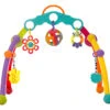 Playgro Fold And Go Babygym P0185475