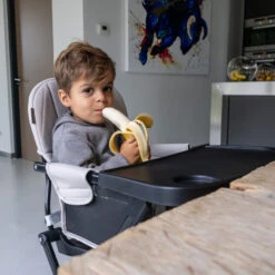 Topmark Lucky Donkergrijs Kinderstoel T6065.GREY06 -Winkel Voor Babyproducten topmark lucky kinderstoel4 3