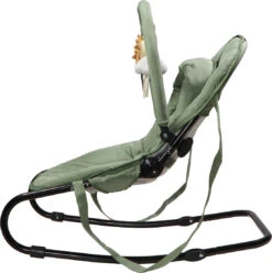 Tryco Lion Leo Groen Wipstoel TR-272703 -Winkel Voor Babyproducten tryco lion leo green wipstoel tr 272703 3