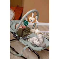 Tryco Lion Leo Groen Wipstoel TR-272703 -Winkel Voor Babyproducten tryco lion leo groen wipstoel tr 272703 sfeer2